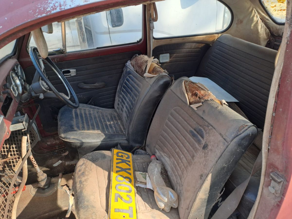 1967 Volkswagen Beetle Non-driving and No Papers. Engine is able to turn (Engine not seized). Sold as is